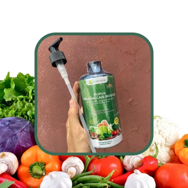 Pupuk Organik Cair (POC) Biosfer - Spesial untuk pertumbuhan Sayur Daun dan Buah - Gambar 5
