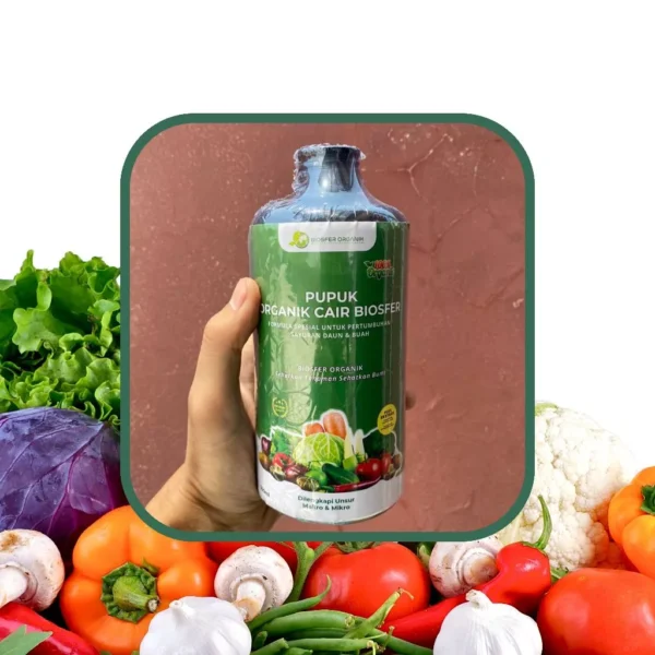Pupuk Organik Cair (POC) Biosfer - Spesial untuk pertumbuhan Sayur Daun dan Buah - Gambar 4