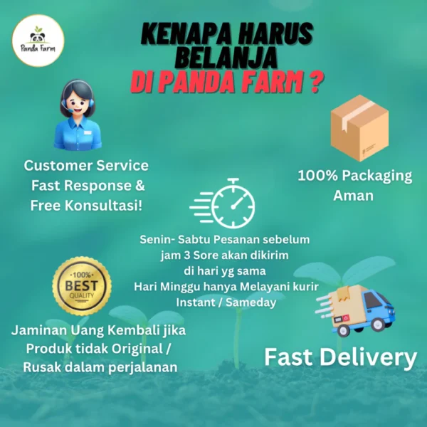 Pupuk Organik Cair (POC) Biosfer - Spesial untuk pertumbuhan Sayur Daun dan Buah - Gambar 7