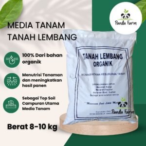 MEDIA TANAM TANAH LEMBANG